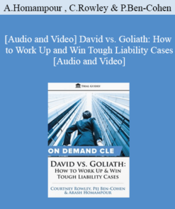 Trial Guides - David vs. Goliath: How to Work Up and Win Tough Liability Cases