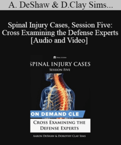 Trial Guides - Spinal Injury Cases