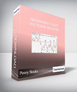 Beginners Chart Patterns Trading for Penny Stocks