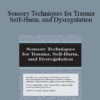 Brooke Wimer - Sensory Techniques for Trauma