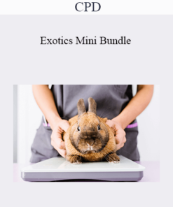 CPD - Exotics Mini Bundle