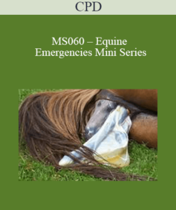 CPD - MS060 – Equine Emergencies Mini Series