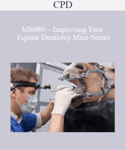 CPD - MS080 – Improving Your Equine Dentistry Mini-Series