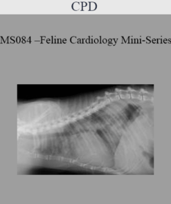 CPD - MS084 – Feline Cardiology Mini-Series