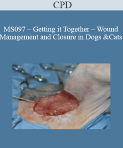 CPD - MS097 – Getting it Together – Wound Management and Closure in Dogs and Cats