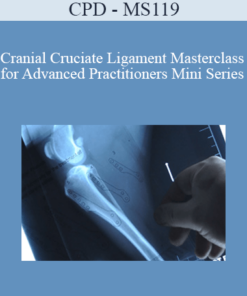 CPD - MS119 – Cranial Cruciate Ligament Masterclass for Advanced Practitioners Mini Series