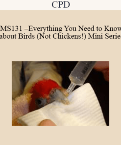 CPD - MS131 – Everything You Need to Know about Birds (Not Chickens!) Mini Series