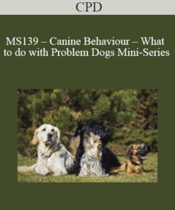 CPD - MS139 – Canine Behaviour – What to do with Problem Dogs Mini-Series