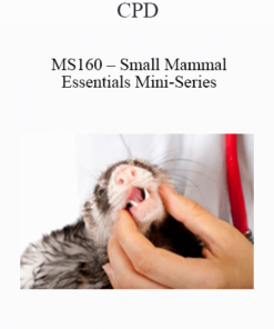 CPD - MS160 – Small Mammal Essentials Mini-Series