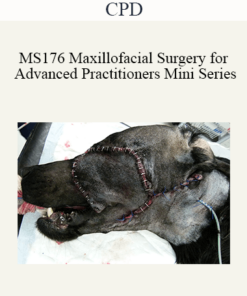 CPD - MS176 Maxillofacial Surgery for Advanced Practitioners Mini Series
