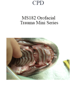CPD - MS182 Orofacial Trauma Mini Series