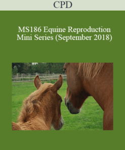 CPD - MS186 Equine Reproduction Mini Series (September 2018)