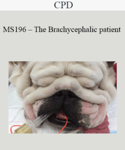 CPD - MS196 – The Brachycephalic patient