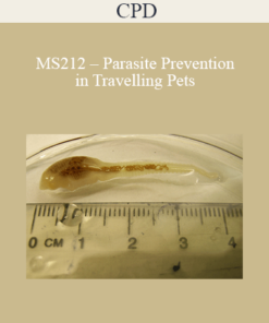 CPD - MS212 – Parasite Prevention in Travelling Pets