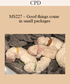 CPD - MS227 – Good things come in small packages; approach to neonatal and paediatric emergencies