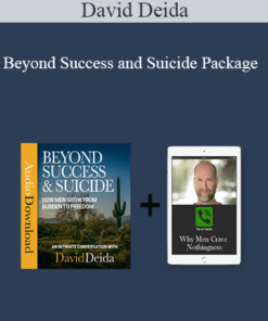 David Deida - Beyond Success and Suicide Package