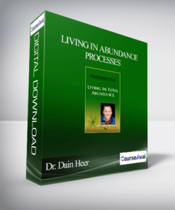 Dr. Dain Heer - Living in Abundance Processes