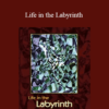 E.J. Gold - Life in the Labyrinth