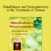 Janina Fisher - Mindfulness and Neuroplasticity in the Treatment of Trauma