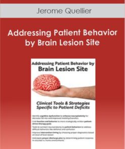 Jerome Quellier - Addressing Patient Behavior by Brain Lesion Site