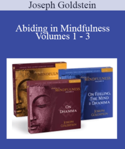 Joseph Goldstein - Abiding in Mindfulness Volumes 1 - 3