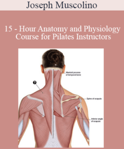 Joseph Muscolino - 15 - Hour Anatomy and Physiology Course for Pilates Instructors