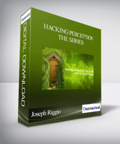 Joseph Riggio - Hacking Perception - The Series