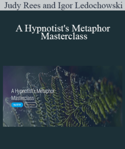 Judy Rees and Igor Ledochowski - A Hypnotist's Metaphor Masterclass