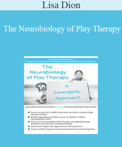 Lisa Dion - The Neurobiology of Play Therapy: A Synergetic Approach