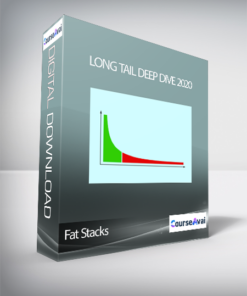 Long Tail Deep Dive 2020 by Fat Stacks