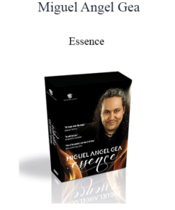 Miguel Angel Gea - Essence