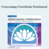 Paul Scheele - Overcoming Overwhelm Paraliminal