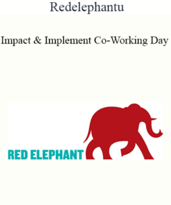 Redelephantu - Impact & Implement Co-Working Day