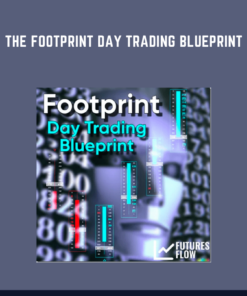 The Footprint Day Trading Blueprint  -  Futures Flow