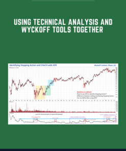 Using Technical Analysis and Wyckoff Tools Together  -  Wyckoffanalytics