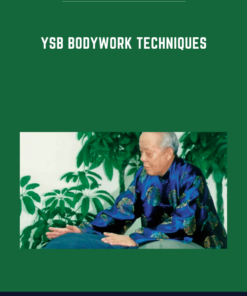YSB Bodywork Techniques  -  Xie Pieqi