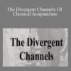 ACCM The Divergent Channels Of Classical Acupuncture 250x343 1 » Courses[GB]