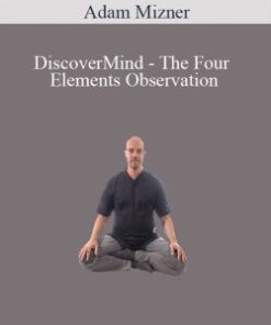 Adam Mizner – DiscoverMind – The Four Elements Observation