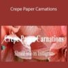 Amity Katharine Libby Crepe Paper Carnations 250x343 1 » Courses[GB]