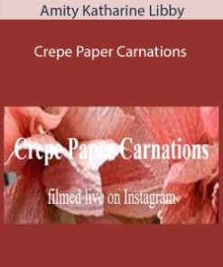 Amity Katharine Libby – Crepe Paper Carnations