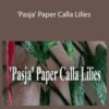 Amity Katharine Libby Pasja Paper Calla Lilies 250x343 1 » Courses[GB]