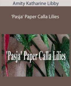 Amity Katharine Libby – ‘Pasja’ Paper Calla Lilies
