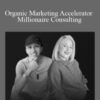 Bastiaan Slot Organic Marketing Accelerator Millionaire Consulting 250x343 1 » Courses[GB]