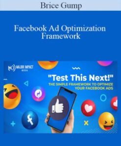 Brice Gump – Facebook Ad Optimization Framework