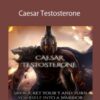 Caesar Caesar Testosterone 250x343 1 » Courses[GB]