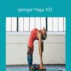 Carrie Owerko – Iyengar Yoga 101