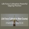 Chris Bale Life Force Cultivation Powerful Qigong Practice 250x343 1 » Courses[GB]