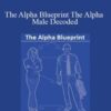 Chris Nosal The Alpha Blueprint The Alpha Male Decoded 250x343 1 » Courses[GB]