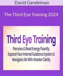 David Gandelman – The Third Eye Training 2024