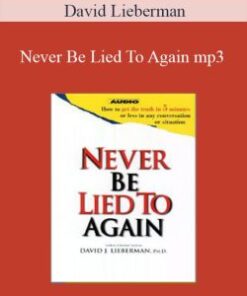 David Lieberman – Never Be Lied To Again mp3